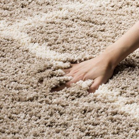 Modern Beige Shaggy Living Rug